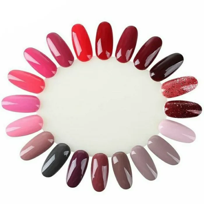 Oval Shaped Nail Art Practice Wheels Set (10 Pcs)