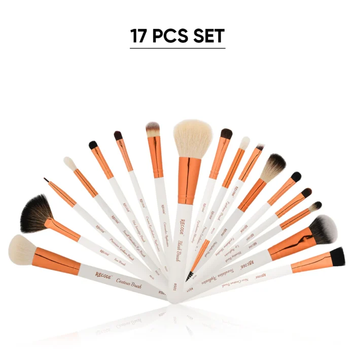 Recode Brush Set 17 Pcs With Premium Rose Gold Pouch