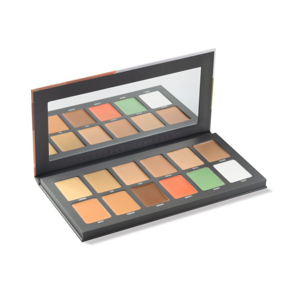 Tsholo Concealer Palette