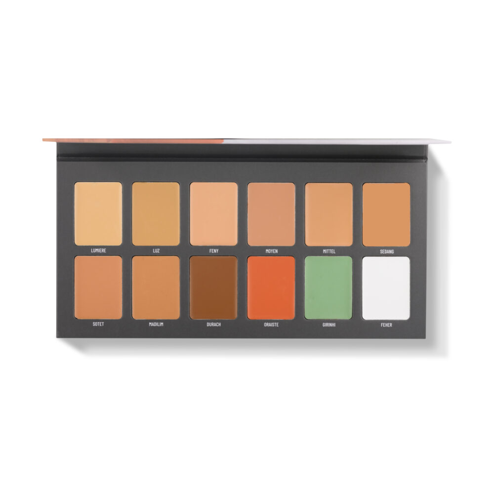 Tsholo Concealer Palette