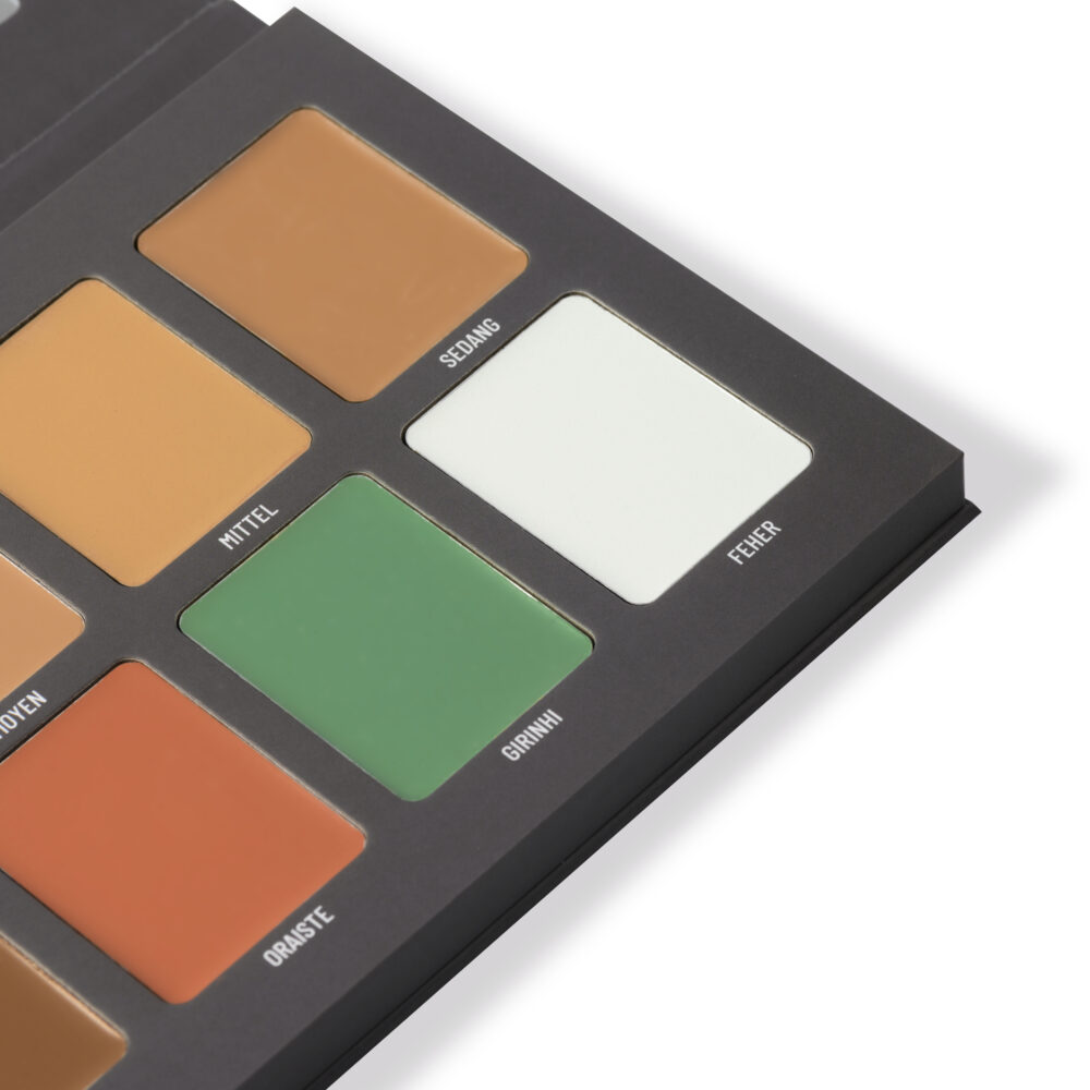 Tsholo Concealer Palette