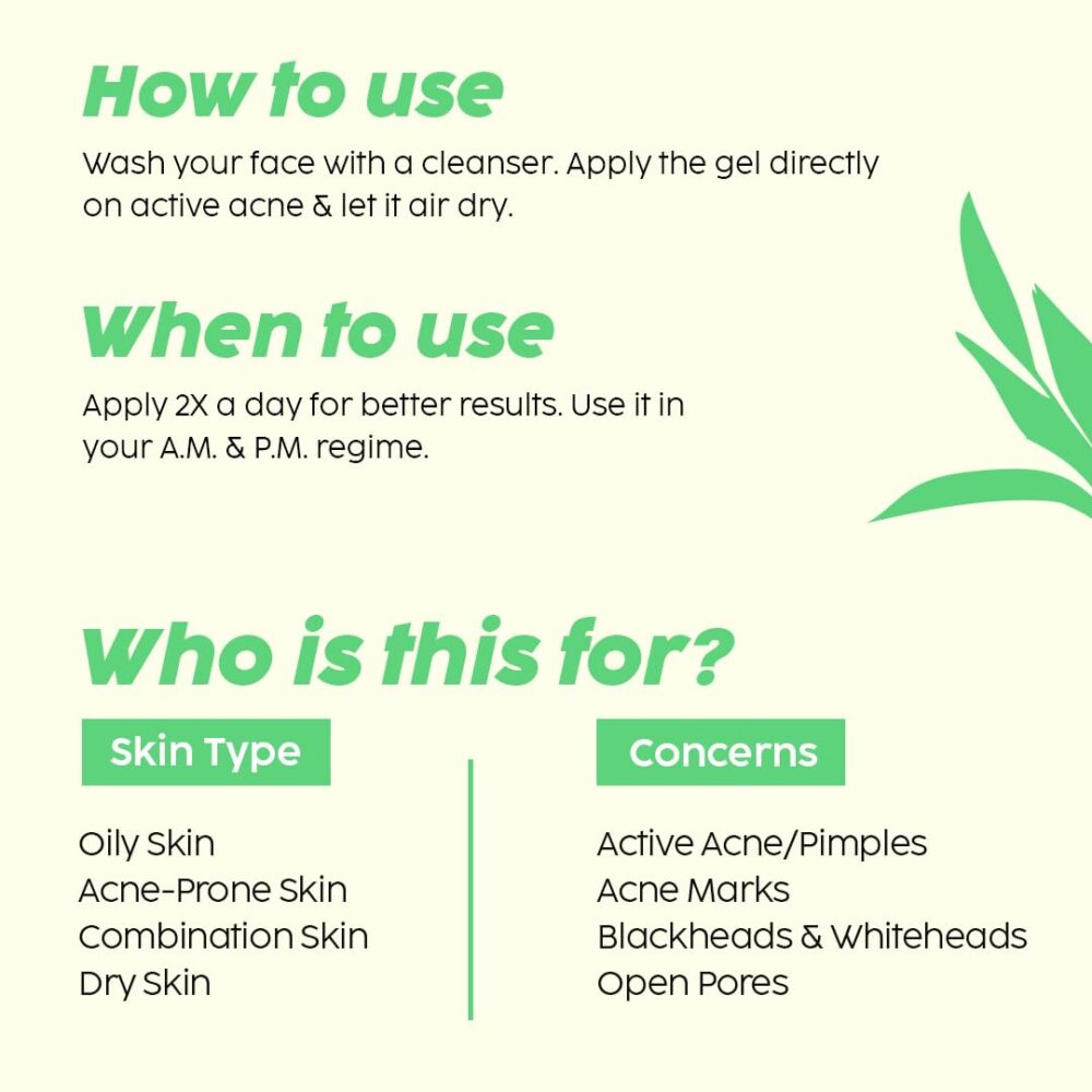 Plix Jamun Acne Spot Corrector Gel