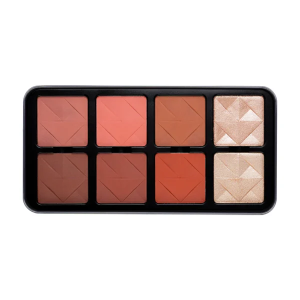 Character Pro Highlighter & Blush Palette (C-A201)