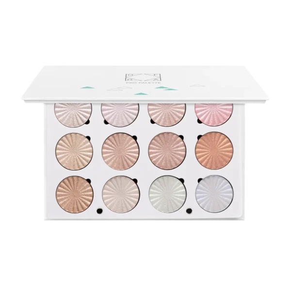 Ofra Pro Next Level Glow Palette