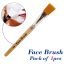 Face Pack Brush