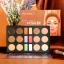 Delanci Concealer Palette