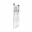 Shills Professional 2 IN 1 Brush Dotting Pen Acrylic Brush